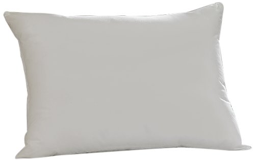 Aller-Ease pillow