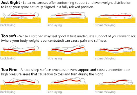 diference of all sleep positions