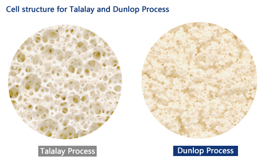 talalay vs dunlop